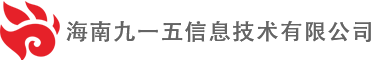 海南九一五信息技术有限公司